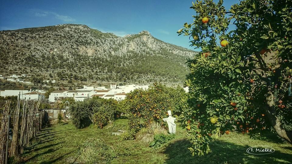 La Carrihuela Vendégház Algodonales Kültér fotó