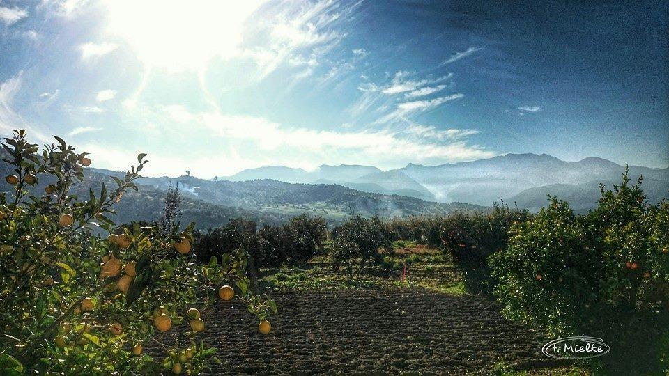 La Carrihuela Vendégház Algodonales Kültér fotó